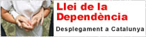 llei-dependencia.jpg