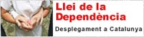 llei-dependencia.jpg