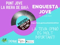 BALANÇ DE LES ACCIONS DEL SERVEI COMARCAL DE JOVENTUT DES DE L’INICI DE L’ESTAT D’ALARMA