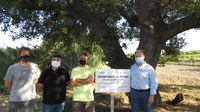 item/title